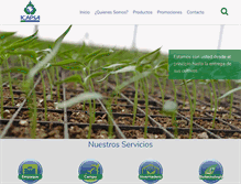 Tablet Screenshot of icapsa.com.mx
